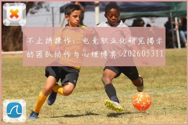 不止拼操作，电竞职业化研究揭示的团队协作与心理博弈_20260531151320