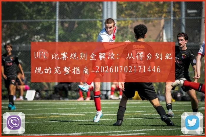 UFC 比赛规则全解读：从得分到犯规的完整指南_20260702171446