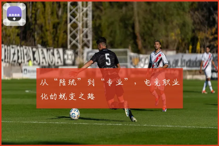 从“陪玩”到“专业”，电竞职业化的蜕变之路