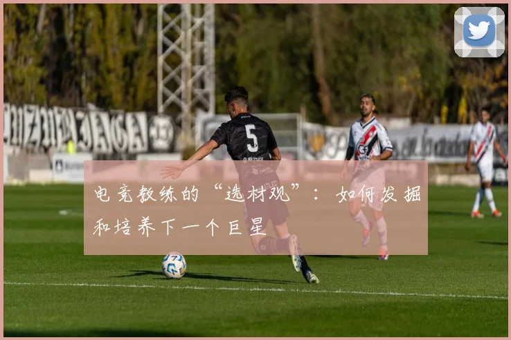 电竞教练的“选材观”:如何发掘和培养下一个巨星