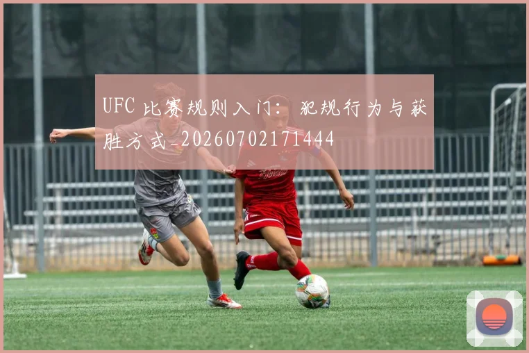 UFC 比赛规则入门：犯规行为与获胜方式_20260702171444
